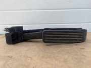 Fahrpedal Mercedes-Benz S-Klasse (W220) A2203000004