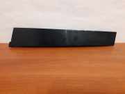 Türverkleidung rechts hinten Renault Scenic III (JZ) 7473