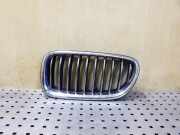 Vorderer oberer Gitter BMW 5 (F10) 520 d 7336477 7340319