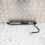 Heckklappe Gasdruckfeder rechts BMW 7 (G11, G12) 730 d, Ld 8499572