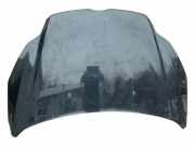 Motorhaube FORD FOCUS II (DA_, HCP) 1.6 TDCi 260511n019