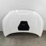 Motorhaube HONDA CIVIC X Hatchback (FC_, FK) 2.0 Type-R (FK8) 60100-TGH-A00ZZ