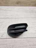Gitter vorne unten TOYOTA YARIS (_P13_) 1.5 Hybrid (NHP130_) 814820D020