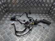 Kabel Tür VW Tiguan I (5N) 5N1971121AB