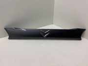 Kennzeichenbeleuchtung Verkleidung CITROËN C-CROSSER (EP_) 2.2 HDi 5817A064