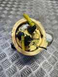 Kraftstofftankpumpe BMW 5 Gran Turismo (F07) 530 d