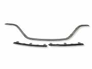 Front Bumper Center Moulding RENAULT MEGANE II Sedan (LM0/1_) 1.5 dCi 623836495R
