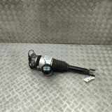 Pneumo-Stoßdämpfer hinten links AUDI A8 D3 (4E2, 4E8) 4.2 TDI quattro 4E0616001E