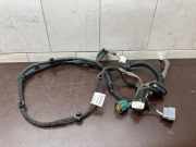 Türverkabelung hinten links RENAULT KOLEOS II 2.0 dCi 175 4WD 241277552R