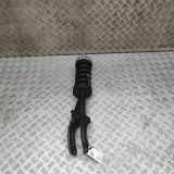 Stoßdämpfer vorne rechts VW TOUAREG (7P5) 3.0 V6 TDI 7P6413032AN