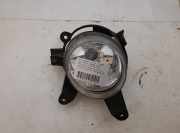 Nebelscheinwerfer vorne rechts KIA CARENS II (FJ) 2.0 CRDi 2FC51500 2FC 51500