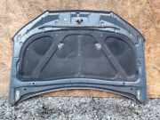 Motorhaube HYUNDAI SANTA FÉ II (CM) 2.2 CRDi 4x4