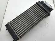 Ladeluftkühler Peugeot 307 () 876923JD