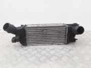 Ladeluftkühler Peugeot 407 () 9645682880