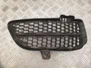 Kühlergrill rechts VW Touareg I (7L) 7L6853666B