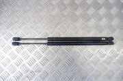 Gasfeder für Motorhaube Tesla Model S (5YJS) 6006603