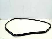 Dichtungsgummi für die hintere linke Tür TOYOTA AURIS (_E18_) 1.6 (ZRE181_, ZRE185_)