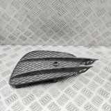Gitter Grill vorne rechts MERCEDES-BENZ E Coupe (C238) E 220 d (238.314) A2138856800
