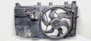 Kühlmodul Citroen Xsara Picasso (N68) 1831237016