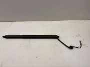 Heckklappe Gasdruckfeder links TESLA MODEL Y EV 150060100A