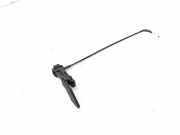 Griff Klappenzug Renault Clio III (BR0/1, CR0/1)