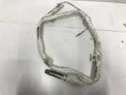 SRS Modul Dach links BMW 5 (G30) 530 d xDrive