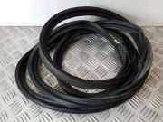 Heckklappengummi INFINITI EX 30d