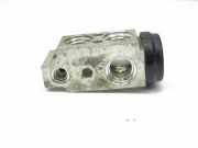 Expansionsventil für Klimaanlage Hyundai Kona I (OS, OSE, OSI)