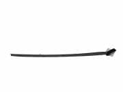 Zierleiste Windschutzscheibe Frontscheibe OPEL SIGNUM 1.9 CDTI 000076556