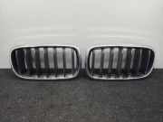 Vorderer oberer Gitter BMW X5 (F15, F85) xDrive 35 i 7316053