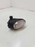 Nebelscheinwerfer links VW PHAETON (3D_) 3.0 V6 TDI 4motion 3D0941699B
