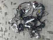 Kabelbaum BMW X3 (G01, F97) xDrive 30 i