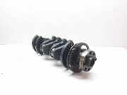 Kurbelwelle LAND ROVER FREELANDER (L314) 2.0 Td4 4x4 2246861