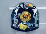 Lenkrad Airbag AUDI Q5 (8R) 2.0 TDI quattro 305320520032 20101830058