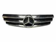 Vorderer oberer Gitter MERCEDES-BENZ CLK (C209) 200 Kompressor (209.342) A2098800223