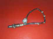 Sauerstoffsensor (Lambdasensor)