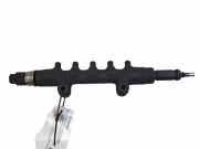 Einspritzleiste Ford Transit Kasten (FA) 55PP0501