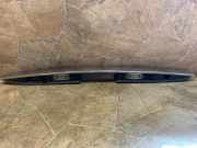 Kennzeichenbeleuchtung MERCEDES-BENZ R (W251, V251) R 350 CDI 4-matic (251.023, 251.123) 2517400593