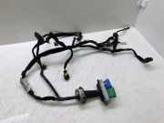 Kabel Tür vorne rechts CITROËN DS5 2.0 HDi 165 9677953680