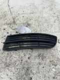 Frischluftgrill VW TOURAN (1T1, 1T2) 2.0 TDI 16V