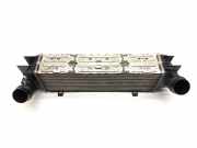 Ladeluftkühler BMW X3 (F25) 7593852