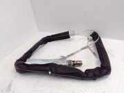 Dach SRS rechts RENAULT LAGUNA Coupe (DT0/1) 2.0 dCi 985P00001R