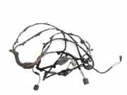 Kabelbaum LAND ROVER RANGE ROVER SPORT (L320) 3.6 D 4x4 273396605