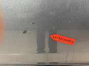 Tür hinten links FIAT DUCATO Minibus / passenger (250_, 290_) 150 Multijet 2,3 D 53367590