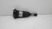 pneumatischer Stoßdämpfer hinten rechts BMW 5 (G30) 530 d xDrive 814903014872