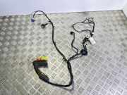 Kabel Tür vorne rechts OPEL Crossland X (P17) (P17) 1.2 (75)