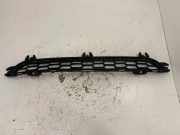 Gitter vorne unten BMW X3 (F25) xDrive 28 i 8048096
