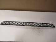 Kühlergrill unten BMW X5 (E70) 51117159597