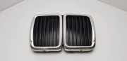 Vorderer oberer Gitter BMW 3 (E30) 324 d 511319165049 51131916504