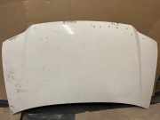 Motorhaube VW Caddy III Kasten (2KA)